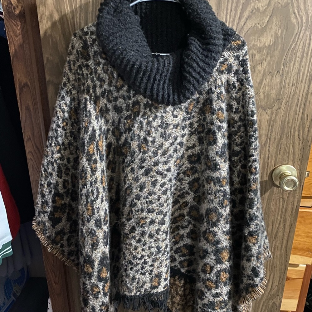 Cheetah shall 2x